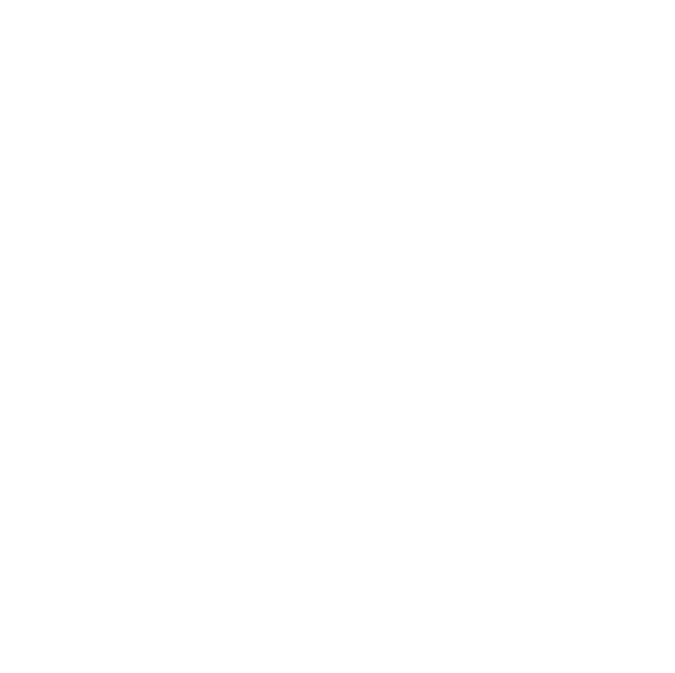 Idiot Genius